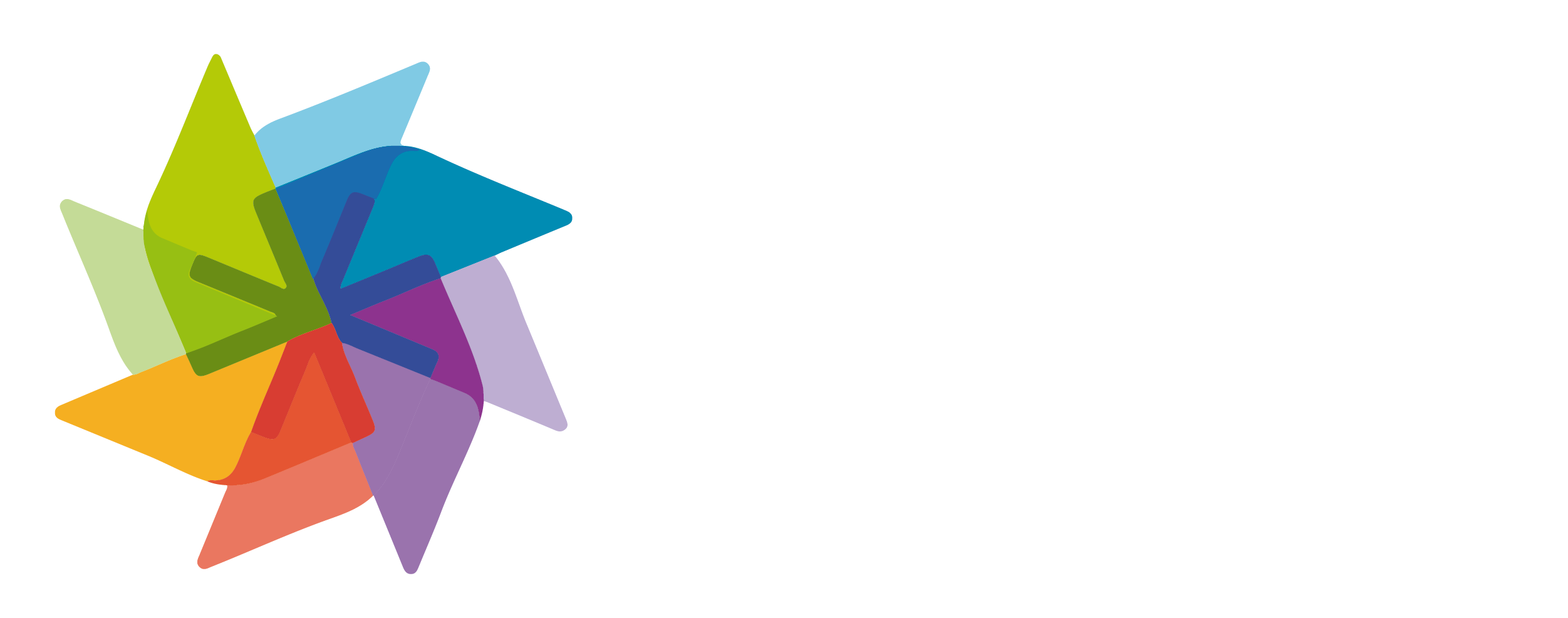 Chocón
